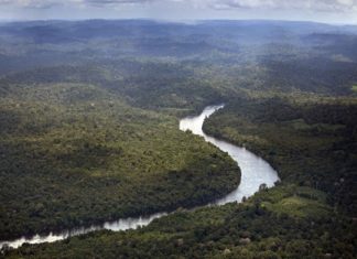 Brasil, entre legalizar más minería y deforestación del Amazonas