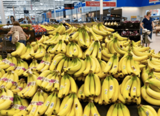 Exportaciones de bananos del Ecuador cayeron en mayo