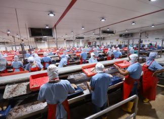 Negocios Industriales Real recibe reconocimiento en Perú