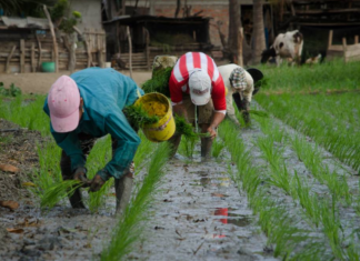 Más de 40 mil hectáreas productivas son sostenibles en Ecuador