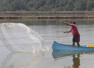 Unión Europea da pase a exportaciones acuícolas ecuatorianas