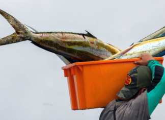 Gremio pesquero rechaza declaraciones del presidente mexicano