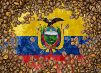 ¿Dónde se produce el mejor café de Ecuador?
