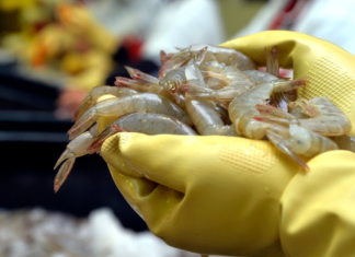 Exportaciones ecuatorianas mantienen un crecimiento continuo desde el 2017