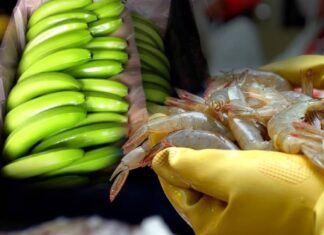 El camarón y banano estarán incluidos en acuerdo comercial con México