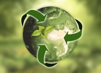 Empresas logísticas con planes de reducir la huella de carbono