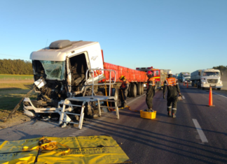 Transporte profesional: acciones para evitar siniestros viales