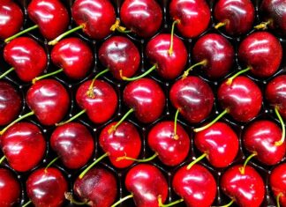 Exportaciones de cerezas frescas llegarían a 80 millones de cajas