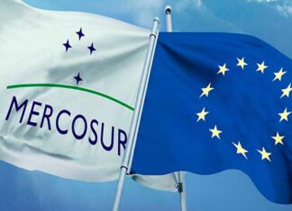 Empresas latinoamericanas se alistan para el Mercosur–Unión Europea con apoyo del BID