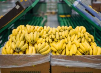 Sector exportador ecuatoriano batió récord en 2022