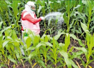 Se generan problemas en Ecuador por escases de fertilizantes rusos