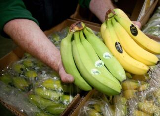 Ecuador y el precio más justo por el banano