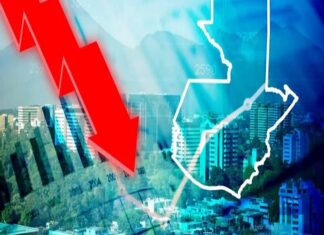 Sectores productivos que impulsarán la economía de Guatemala