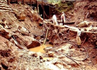 OEA advierte incremento del comercio ilegal de oro entre Ecuador y China