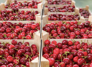 Exportaciones chilenas al alza gracias a las cerezas