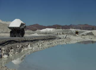 Elon Musk inicia lobby para usar el litio chileno