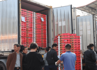 El riguroso proceso de transporte y envío para las cerezas