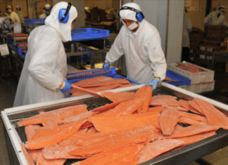 Crecen las exportaciones de salmón y trucha desde Chile en 2022