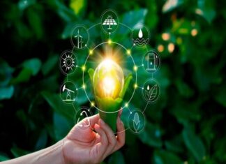 Clientes prefieren envíos más costosos pero sostenibles