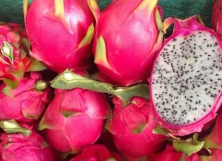 Pitahaya roja ecuatoriana llega a Rusia