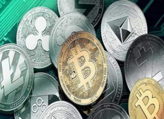 Dinero Digital, buen portafolios de inversión es clave para el éxito