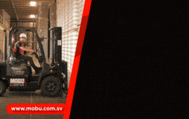 GIF MOBU