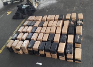 Incautan cocaína en cargamento ecuatoriano de bananas