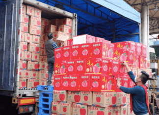 Principales exportadores de fruta fresca, según la inteligencia artificial