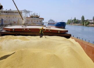 Acuerdo de granos del Mar Negro, cómo impacta a Rusia y al mundo