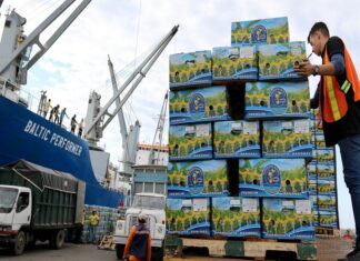 Exportaciones de Ecuador crecen entre enero y julio 2023 Clúster Banano
