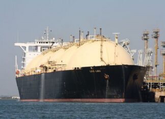 Tráfico mundial de graneles se mantendrá al alza en 2023