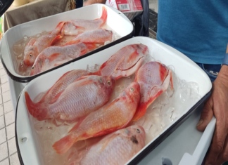 1er Encuentro Comercial de la Tilapia en Ecuador