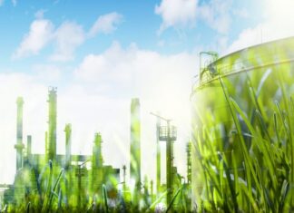 Empresas ecológicas para un futuro más sustentable