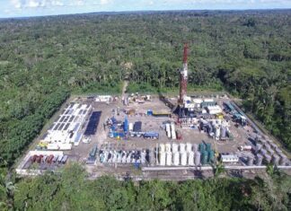 ¿Es rentable para Ecuador suprimir el bloque petrolero de Yasuní?