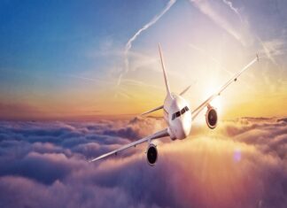 ¿Excrementos como combustible para aviones? Sí, es posible…