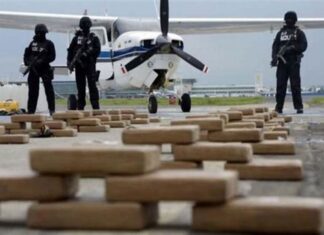 Ecuador: Incautan 49,3 toneladas de drogas en el estado de excepción