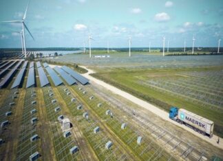 Sostenibilidad, el camino para un liderazgo empresarial latinoamericano