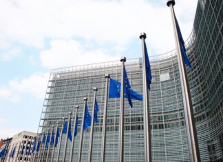 Transportistas se preparan para operar con el nuevo sistema aduanero de la UE