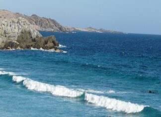 Copiaport-E, el proyecto de Tribu Apache que revolucionará el norte chileno y la región sudamericana