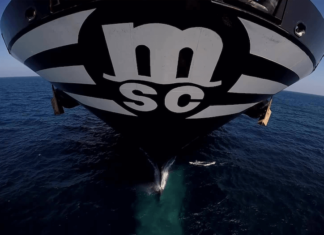 MSC alcanza la flota Gemini de Maersk y Hapag-Lloyd