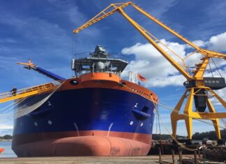 Nuevos portacontenedores se integran al mercado con récord durante los últimos meses