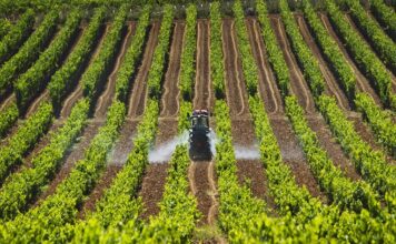 ¿En qué puesto se ubica Ecuador como productor agroindustrial en América Latina?