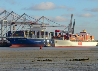 Ocean Alliance presenta red de transporte marítimo actualizada para 2025