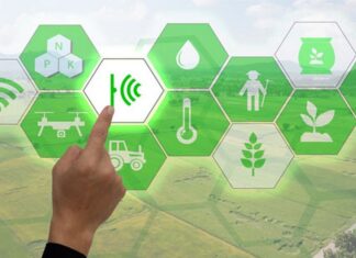 La bioeconomía latinoamericana toma fuerza: gobiernos y empresas aceleran proyectos sostenibles