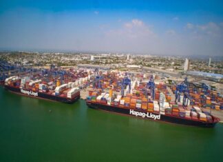 Logística e inversión portuaria: el desafío estratégico para el comercio exterior latinoamericano