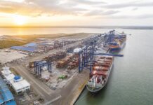 Siete años de crecimiento: DP World Posorja supera los 4 millones de TEUs